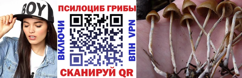 Галлюциногенные грибы Magic Shrooms Десногорск
