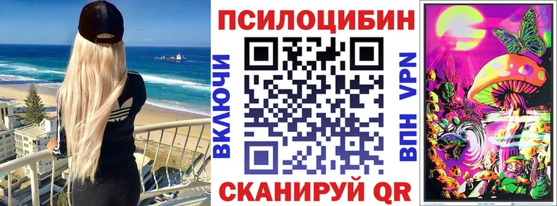 дарнет шоп  Десногорск  Псилоцибиновые грибы MAGIC MUSHROOMS 