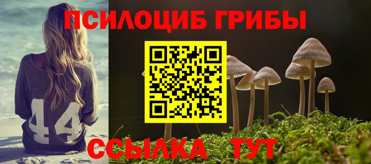 Галлюциногенные грибы GOLDEN TEACHER Десногорск
