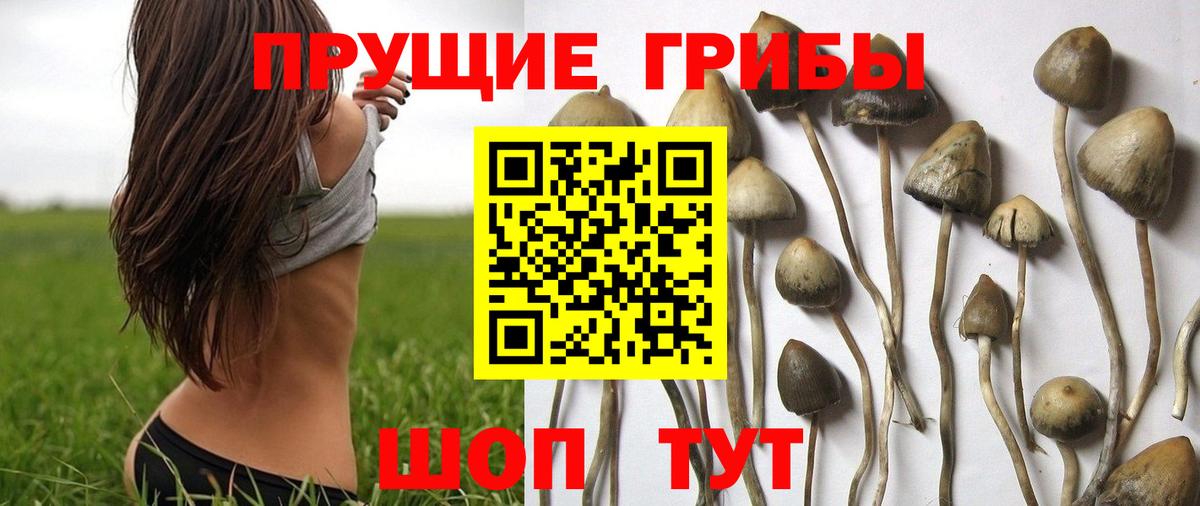 Псилоцибиновые грибы MAGIC MUSHROOMS  Вход с VPN  Десногорск 